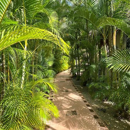 Chalet Tropical Au Coeur De Las Terrenas Kültér fotó