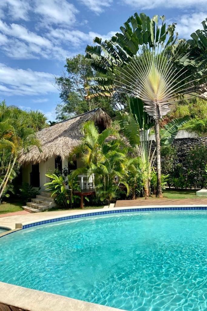 Chalet Tropical Au Coeur De Las Terrenas Kültér fotó